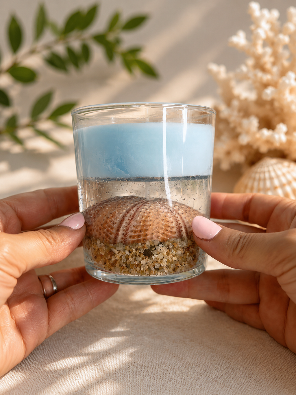 Vela Erizo De Mar | Aroma de Coco