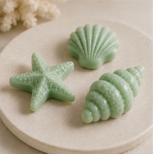 WAX MELTS BOSQUE MARINO | Inspirados en naturaleza costera y aire puro
