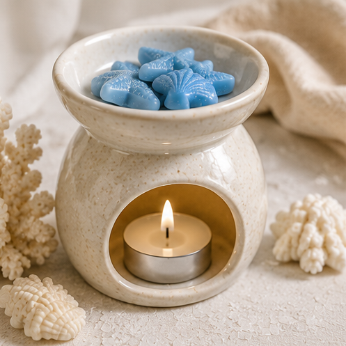 WAX MELTS BRISA MARINA | Inspirados en la calma del océano