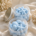 WAX MELTS BRISA MARINA | Brisa Marina - Sal Oceánica - Aire limpio