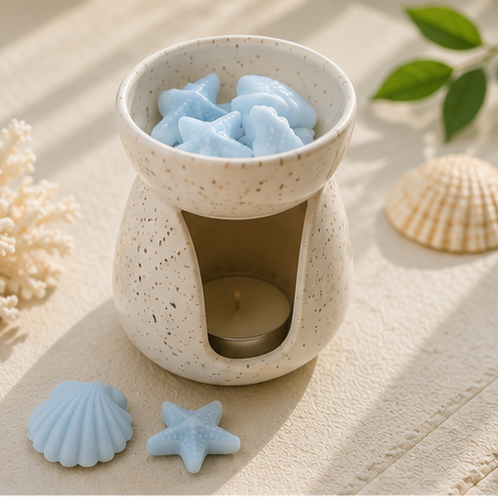 WAX MELTS BRISA MARINA | Brisa Marina - Sal Oceánica - Aire limpio